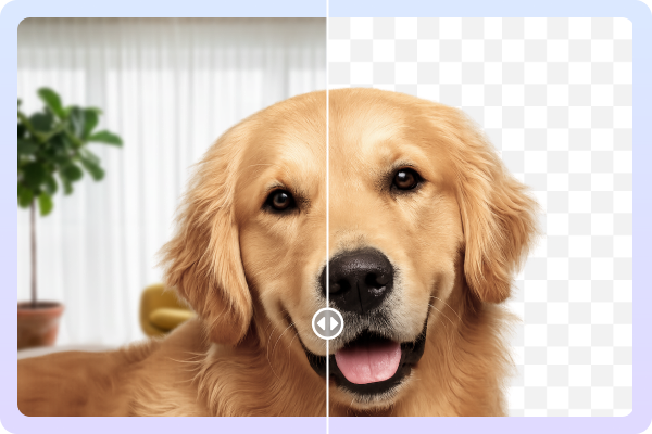 Dog portrait before and after background removal