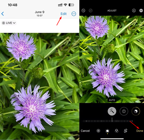 How to Edit Multiple Photos at Once iPhone