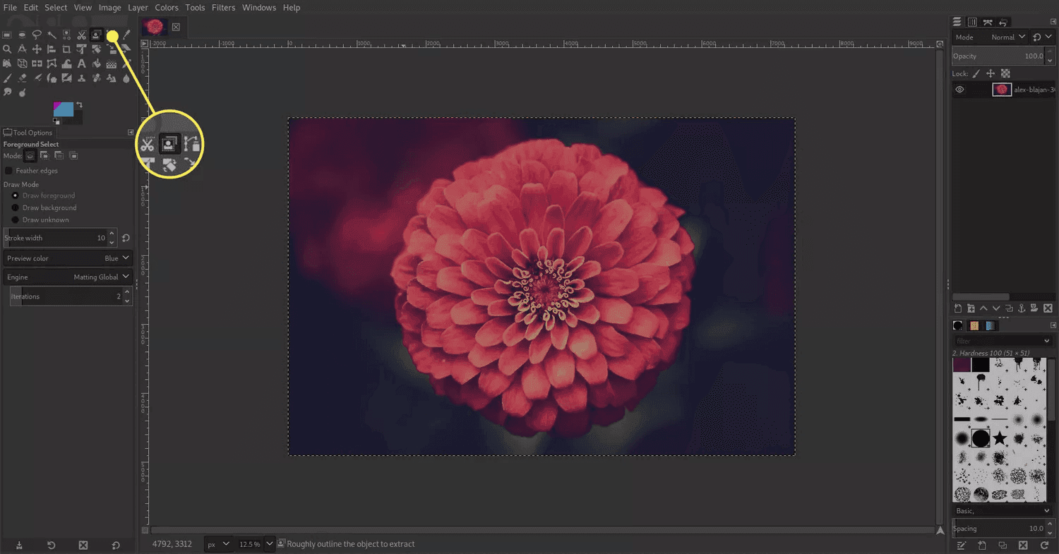 Open Source Background Remover Explained: Free AI Tools vs. Smart ...