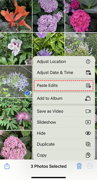 How to Edit Multiple Photos at Once iPhone