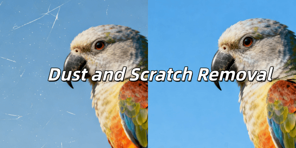 How to Use Dust and Scratches Filter in Adobe Photoshop